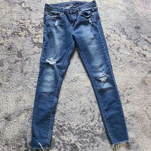 Articles Of Society Distressed Skinny Jeans in Blue